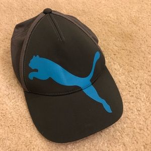 Puma Grey/Light Blue Adjustable Dad Hat
